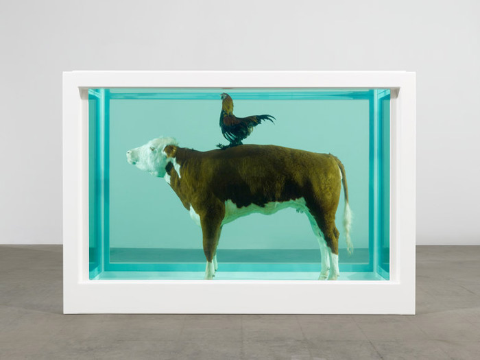 cock and bull by damien hirst