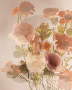 nomade by Chloe parfums